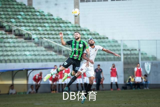 DB体育公司简介图片
